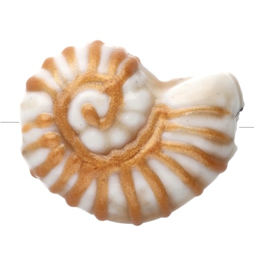 Perlina in ceramica conchiglia di lumaca 21x16 mm - Bianco - Oro x1