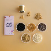I miei gioielli fai da te - Kit di orecchini a spirale con perle Miyuki