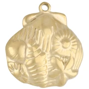 Beadthoven 24 Ciondoli Segni Zodiacali In Acciaio Inox 304 – 12 Costellazioni Per Bigiotteria Fai Da Te