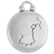 Ciondolo rotondo reversibile 17 mm segno zodiacale Scorpione - Acciaio inossidabile 304 x1
