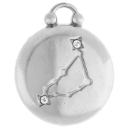 Ciondolo rotondo reversibile da 17 mm - Segno zodiacale Capricorno - Acciaio inossidabile 304 x1