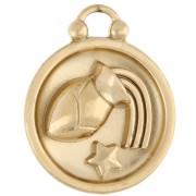 Ciondolo rotondo reversibile 17 mm segno zodiacale Acquario - Acciaio inossidabile 304 Gold x1