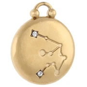 Ciondolo rotondo reversibile 17 mm segno zodiacale Acquario - Acciaio inossidabile 304 Gold x1