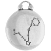 Ciondolo rotondo reversibile 17 mm segno zodiacale Pesci - Acciaio inossidabile 304 x1