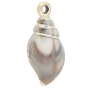 Tema marino