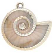 Ciondolo a conchiglia in acrilico 33x34 mm - Beige marmorizzato - Oro x1
