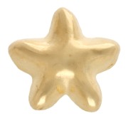 Spingi stella marina 6 mm per pizzo da 3 mm - Placcato oro x1