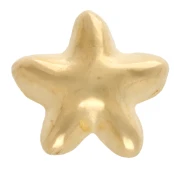 Spingi stella marina 6 mm per pizzo da 3 mm - Placcato oro x1
