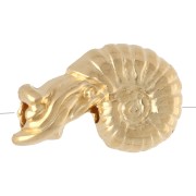 Perla di conchiglia - 12x8 mm - Dorata con oro fino x1