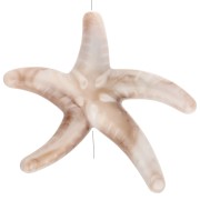 Beige - Perla di stella marina in acrilico 37x43 mm - Beige - Marrone marmorizzato x1 Perla di stella marina in acrilico 37x43 mm - Beige - Marrone marmorizzato x1