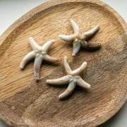 Perla di stella marina in acrilico 37x43 mm - Beige - Marrone marmorizzato x1