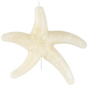 Bianco - Perla stella marina in acrilico 37x43 mm - Ecrù - Bianco marmorizzato x1 Perla stella marina in acrilico 37x43 mm - Ecrù - Bianco marmorizzato x1