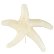 Tema marino