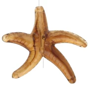 Tema marino