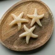 Ciondolo a forma di stella marina, 49x45 mm, acrilico - Ecru - Bianco marmorizzato x1