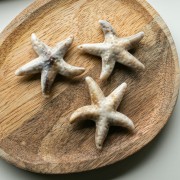 Ciondolo a forma di stella marina, 49x45 mm, acrilico - Beige - Marrone marmorizzato x1