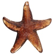 Marrone - Ciondolo a forma di stella marina, 49x45 mm, acrilico - Marrone marmorizzato x1 Ciondolo a forma di stella marina, 49x45 mm, acrilico - Marrone marmorizzato x1