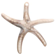 Tema marino