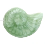 Conchiglie