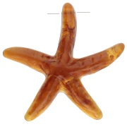 Ciondolo in resina Starfish 37x38 mm - Caramello x1