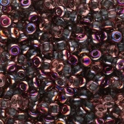 Perline Miyuki 8/0 55011 - Crystal Sliperit x8g