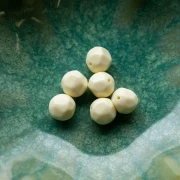 Perla rotonda irregolare sfaccettata da 10 mm in resina opaca - Ecru x6