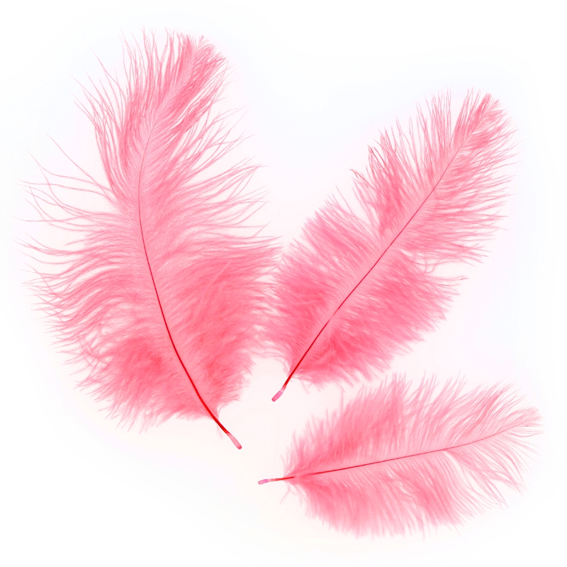 20 Piume Di Struzzo Naturali 25-30 Cm - Per Centrotavola, Matrimoni, Decorazioni Casa, Nero