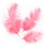 Piuma di struzzo cm.15-20 Blu petrolio x1