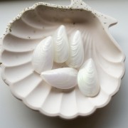 Stampo perla 34x18,5 mm in resina - Bianco cangiante x1