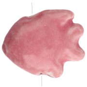 Perla pesce in ceramica 17x20 mm - Corallo x1