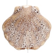 Perla di conchiglia in ceramica 26x28,5 mm - Beige - Marrone screziato x1