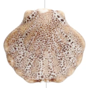 Perla di conchiglia in ceramica 26x28,5 mm - Beige - Marrone screziato x1