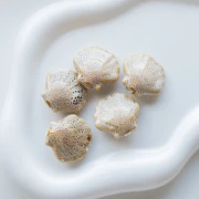 Perla di conchiglia in ceramica 26x28,5 mm - Beige - Marrone screziato x1
