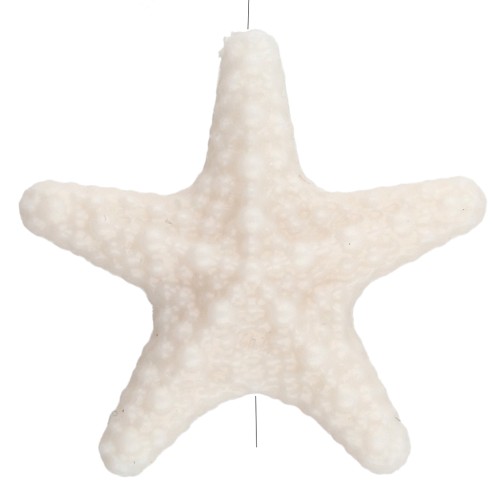 Perla a stella marina strutturata 31x33 mm in acrilico - Crema x1