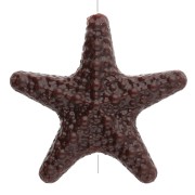 Perla a stella marina strutturata 31x33 mm in acrilico - Marrone scuro x1