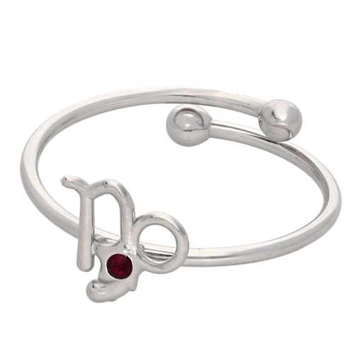 Anello regolabile con segno zodiacale - Capricorno - Acciaio inossidabile 304L - Rosso x1