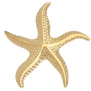 Spilla a forma di stella marina 49x45 mm - Acciaio inossidabile 304 Dorato x1