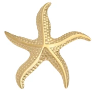 Accessori