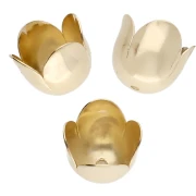 Conchiglie a tulipano da 10 mm - Dorate con oro fino x4