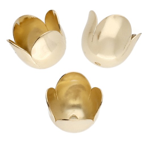 Conchiglie a tulipano da 10 mm - Dorate con oro fino x4