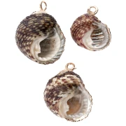 Pendente a forma di conchiglia screziata 15-20 mm con bordi in Dorato - Grigio - Nero x1