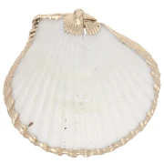 Tema marino
