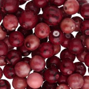 Assortimento di perle bohemien - Mix Dark Red x50g