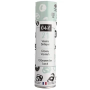 Vernice protettiva universale spray Odif n. 21 per tutti i tipi di superficie, lucida, 250 ml