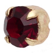 Gattini montati da 6 mm - Dorati - Siam x5