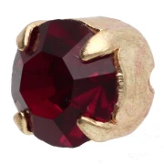Gattini montati da 6 mm - Dorati - Siam x5