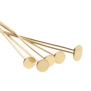 Chiodo a testa piatta larga 25x0,6 mm - Acciaio inossidabile 304 Dorato x6