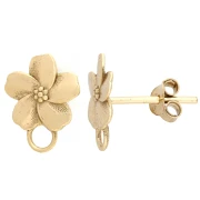 Accessori