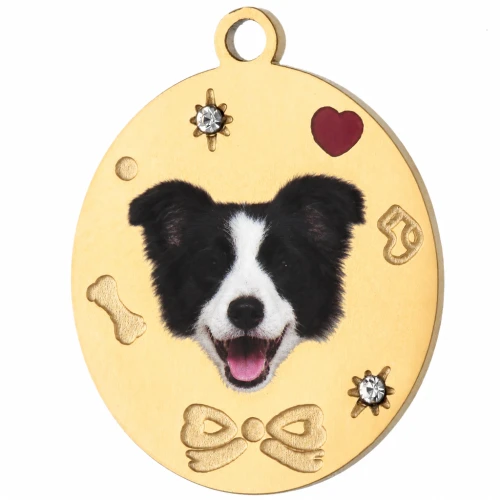 Ciondolo ovale 19x15 mm con stampa UV raffigurante la testa di un Border Collie - Acciaio inossidabile 304 Dorato