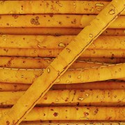 Cordone in sughero cucitura visibile 4 mm Senape x 50cm|raw }}